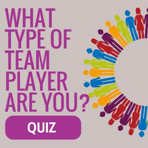 What type of team player are you?