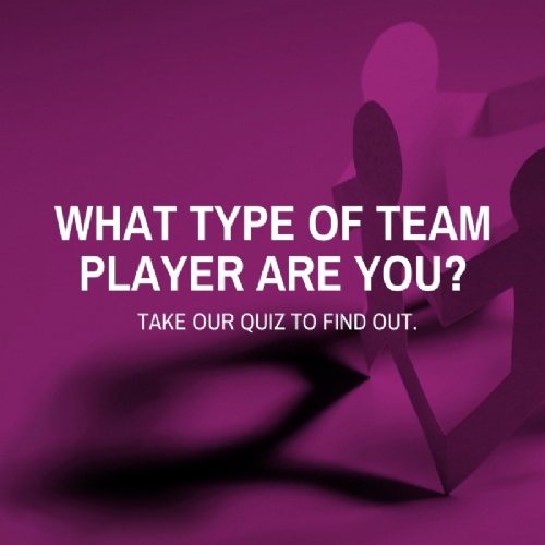 What type of team player are you?